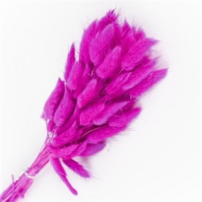 Сухоцветы Лагурус 65см Ярко-Розовый 58шт 34гр 88013938