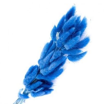 Сухоцветы Лагурус 65см Ярко-синий 58шт 34гр 88025332
