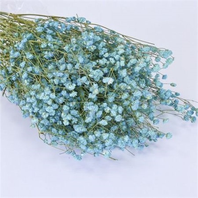 Сухоцветы Гипсофила 52см голубая 48620033