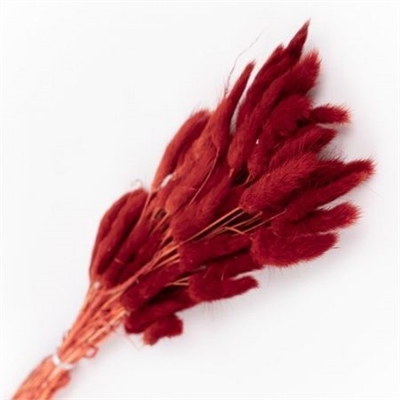 Сухоцветы Лагурус 65см Бордо 58шт 34гр 88013947