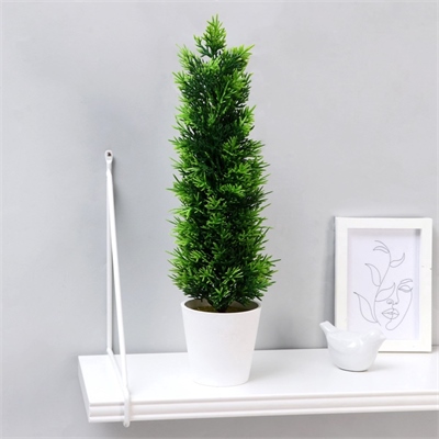 Бонсай в горшке"Туя стройная" 10х40 см, h горшка 9 см 4293928 4293928