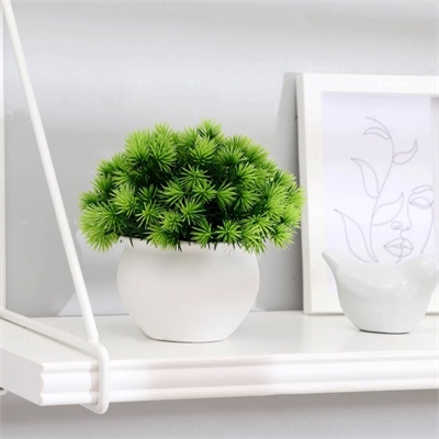 Бонсай в горшке "Пушистые колючки" 9х13 см, микс 4457610 4457610