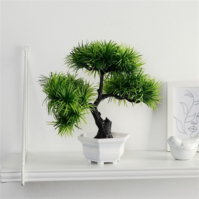 Бонсай в горшке "Цитронелла" 12х25 см 7081280 7081280