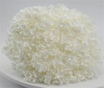 Сухоцвет "Гортензия" длина 60-70 см, диаметр цветка 20 см, 50-60 гр. Шампань 88049874