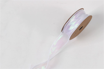 Лента мелкая сетка перелив цвета «Симфония» (4,0см х 10ярд) Белый 17967