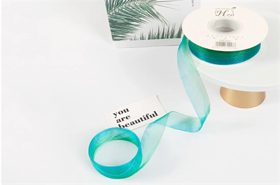 Лента органза с переливом цвета (2,5см х 30ярд) Голубой и Зелёный 19319