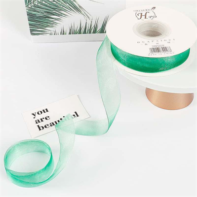 Лента органза с переливом цвета (2,5см х 30ярд) Зелёный 19323