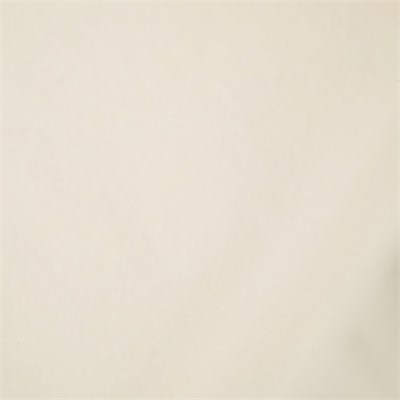 Бумага упаковочная тишью 50 х 66 см 134540 134540