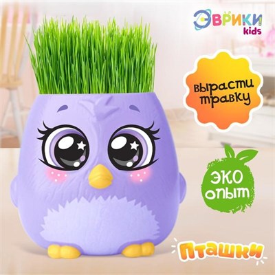 ЭВРИКИ Набор для опытов "Пташки, выращиваем травку", фиолетовая, SL-04639   5155390 5155390