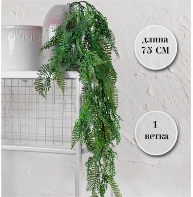 Папоротник Нефролепис Зеленый с напылением 75 см  т.м.300 (2) 88046202