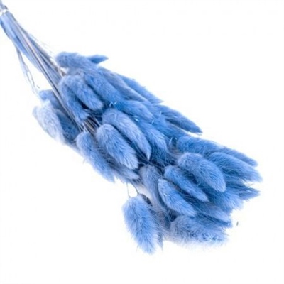 Сухоцветы Лагурус 65см Синий 58шт 34гр 88042106
