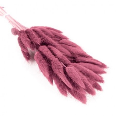 Сухоцветы Лагурус 65см Тускло-пурпурный 58шт 34гр 88042108