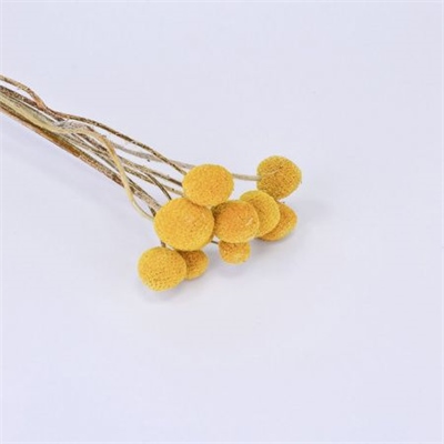 Сухоцветы Пижма 53см 48620032