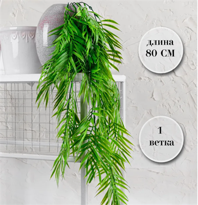 Ветка Пальмы 80 см  т.м 300 (2) 88041872