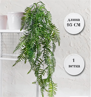 Папоротник ампельный Светло-зеленый 95 см  т.м.300 (2) 88041870