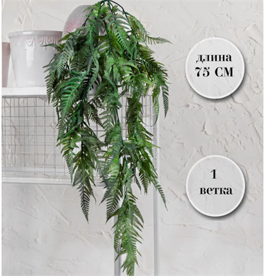 Папоротник ампельный Зеленый с Белым напылением 75 см  т.м.300 (2) 88045875
