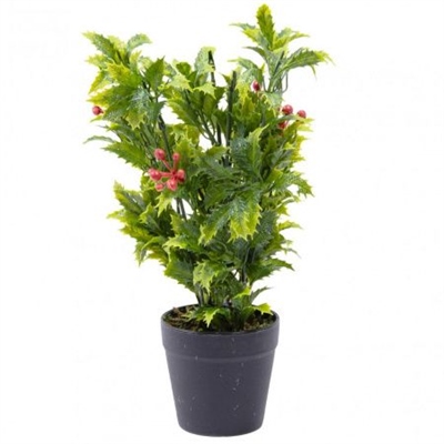 Зеленое растение с ягодами в горшке 33см 88019123