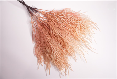 Эктокарпус Бледно-розовый 38 см  т.м.1200 (2) 88045034