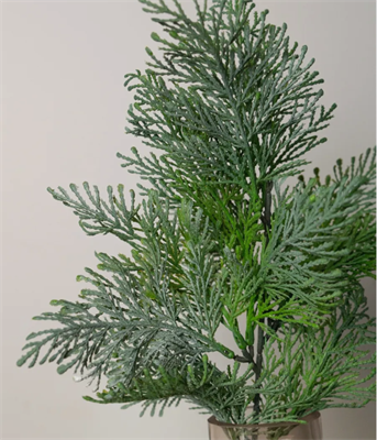 Ветка Туи 50см 88041988