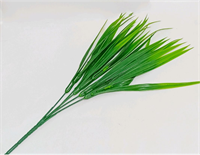 {{photo.Alt || photo.Description || 'Осока 35см'}}