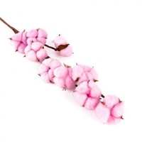 {{photo.Alt || photo.Description || 'Хлопок Розовый 1 ветка (9 соцветий) 70 см'}}