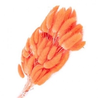 {{photo.Alt || photo.Description || 'Сухоцветы Лагурус 65см Карамельный 58шт 34гр'}}