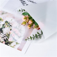 {{photo.Alt || photo.Description || 'Пленка матовая однотонная 58*58см Белый 34 20 листов  т.м.60'}}