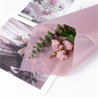 {{photo.Alt || photo.Description || 'Пленка матовая однотонная 58*58см Светло Красно-коричневый 18 20 листов  т.м.60'}}