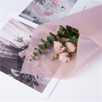 {{photo.Alt || photo.Description || 'Пленка матовая однотонная 58*58см Розовато-серый 05 20 листов  т.м.60'}}