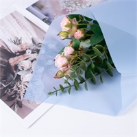 {{photo.Alt || photo.Description || 'Пленка матовая однотонная 58*58см Голубой 01 20 листов  т.м.60'}}