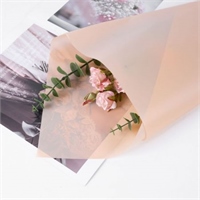 {{photo.Alt || photo.Description || 'Пленка матовая однотонная 58*58см Персиковая 27 20 листов  т.м.60'}}