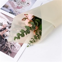 {{photo.Alt || photo.Description || 'Пленка матовая однотонная 58*58см Пудровый 07 20 листов  т.м.60'}}