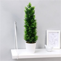 {{photo.Alt || photo.Description || 'Бонсай в горшке&quot;Туя стройная&quot; 10х40 см, h горшка 9 см 4293928'}}