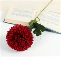 {{photo.Alt || photo.Description || 'Цветы искусственные &quot;Хризантема&quot; 9х48 см, бордовый 4301707'}}