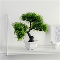 {{photo.Alt || photo.Description || 'Бонсай в горшке &quot;Цитронелла&quot; 12х25 см 7081280'}}