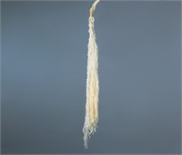 {{photo.Alt || photo.Description || 'Сухоцвет &quot;Амарантус&quot;, длина 90-110 см, 5 шт. бежевый'}}