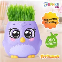 {{photo.Alt || photo.Description || 'ЭВРИКИ Набор для опытов &quot;Пташки, выращиваем травку&quot;, фиолетовая, SL-04639   5155390'}}