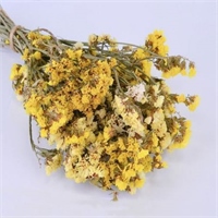 {{photo.Alt || photo.Description || 'Изделие декоративное Лимониум 17*11*33 см'}}