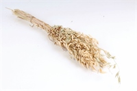 {{photo.Alt || photo.Description || 'Изделие декоративное Овес 11*6*60 см'}}