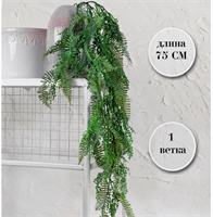 {{photo.Alt || photo.Description || 'Папоротник Нефролепис Зеленый с напылением 75 см  т.м.300 (2)'}}