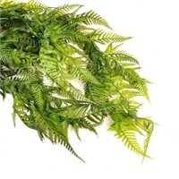 {{photo.Alt || photo.Description || 'Папоротник ампельный Зеленый 75 см  т.м.300 (2)'}}