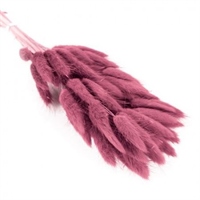 {{photo.Alt || photo.Description || 'Сухоцветы Лагурус 65см Тускло-пурпурный 58шт 34гр'}}