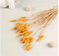 {{photo.Alt || photo.Description || 'Сухоцветы Лагурус 65см Ярко-желтый 58шт 34гр'}}