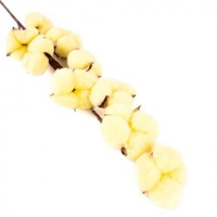 {{photo.Alt || photo.Description || 'Хлопок Канареечный 1 ветка (9 соцветий) 70 см'}}