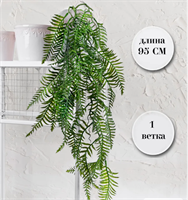 {{photo.Alt || photo.Description || 'Папоротник ампельный Светло-зеленый 95 см  т.м.300 (2)'}}