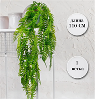 {{photo.Alt || photo.Description || 'Папоротник Дамский Темно-зеленый 110 см  т.м.300 (2)'}}