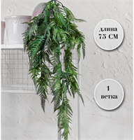 {{photo.Alt || photo.Description || 'Папоротник ампельный Зеленый с Белым напылением 75 см  т.м.300 (2)'}}