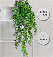 Эвкалипт ампельный 70 см  т.м.300 (2) 88041876