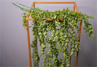 Эвкалипт ампельный Светло-зеленый 75 см  т.м.300 (2) 88045046