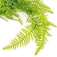 {{photo.Alt || photo.Description || 'Папоротник ампельный Зеленый 95 см  т.м.300 (2)'}}